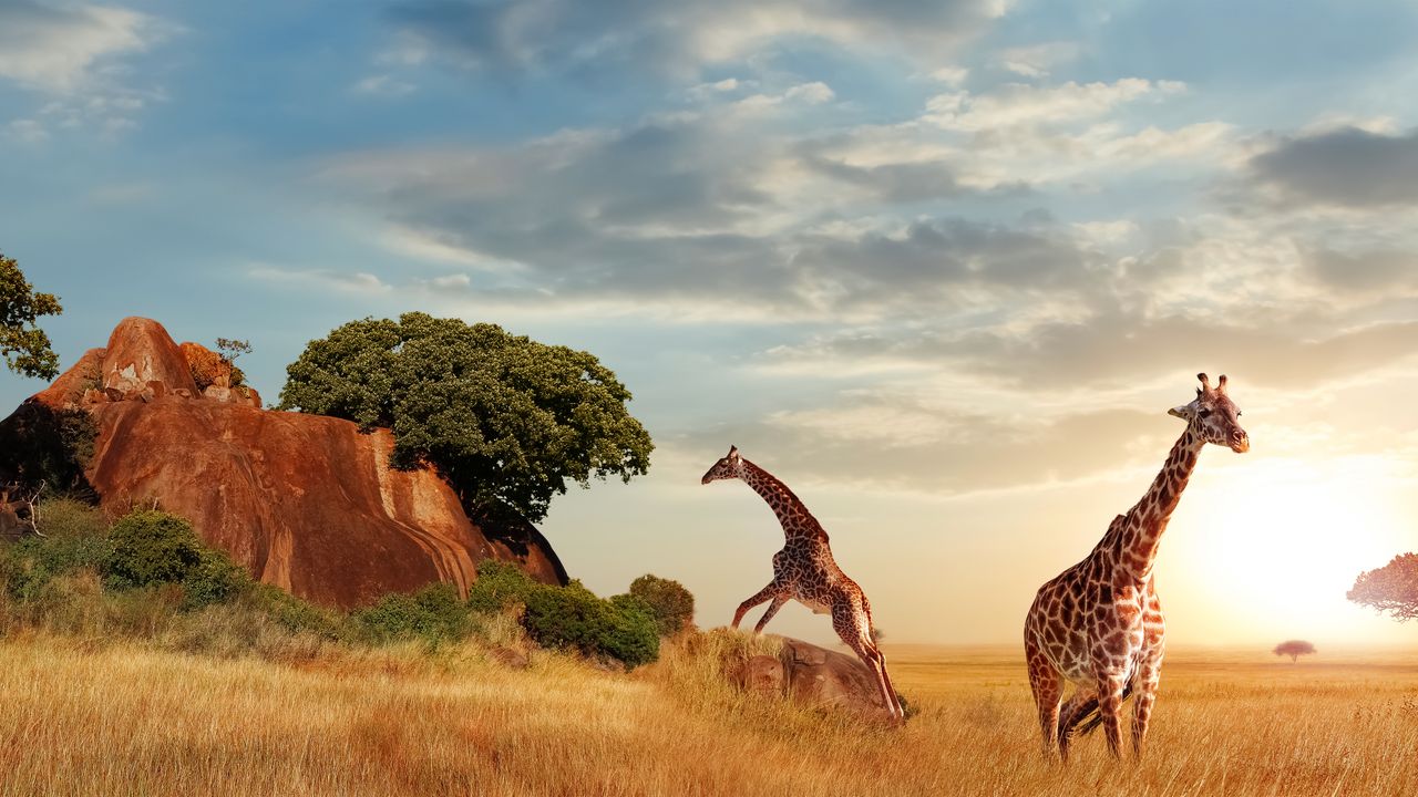 "Experience Kilimanjaro Trekking on the Lemosho Route - A Complete Guide"