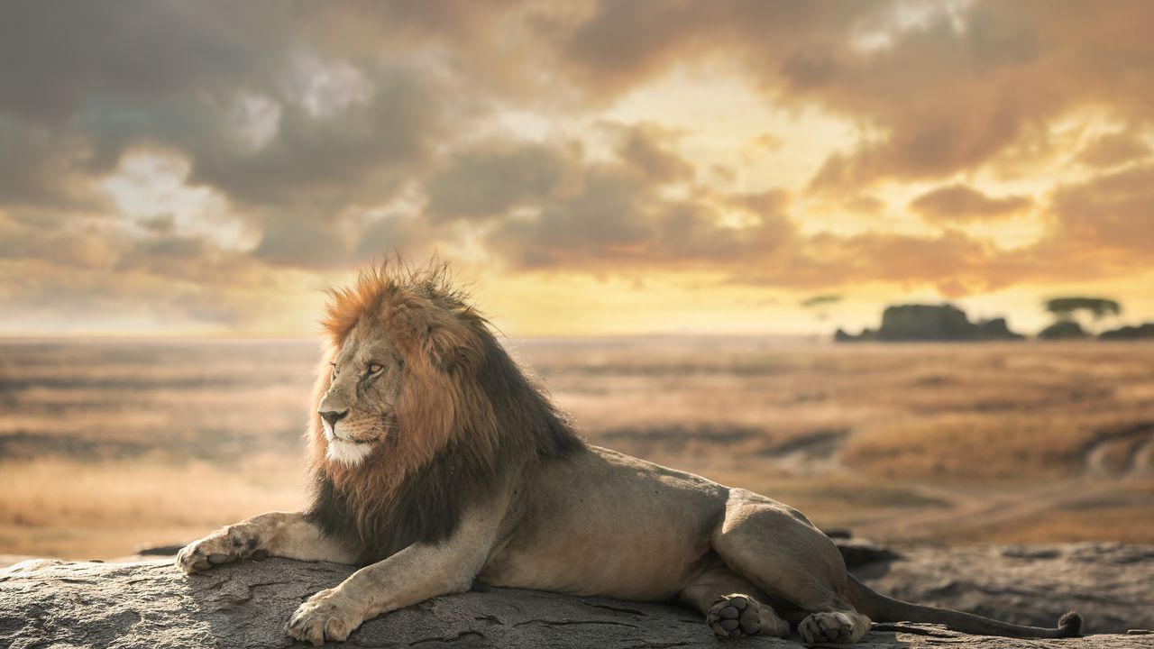 Tanzania Safari: Birdwatching, Budget Safaris & Photography
