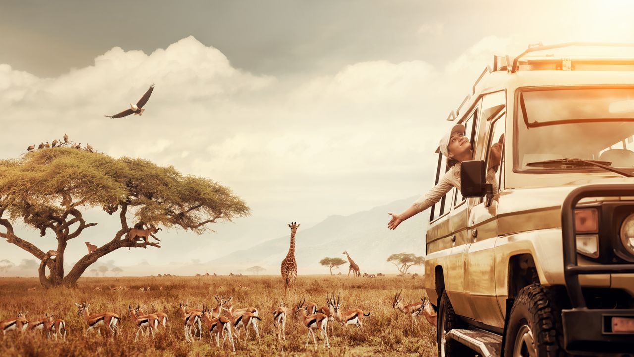 "Cultural Experiences in Africa: Discover the Richness of African Cultures"