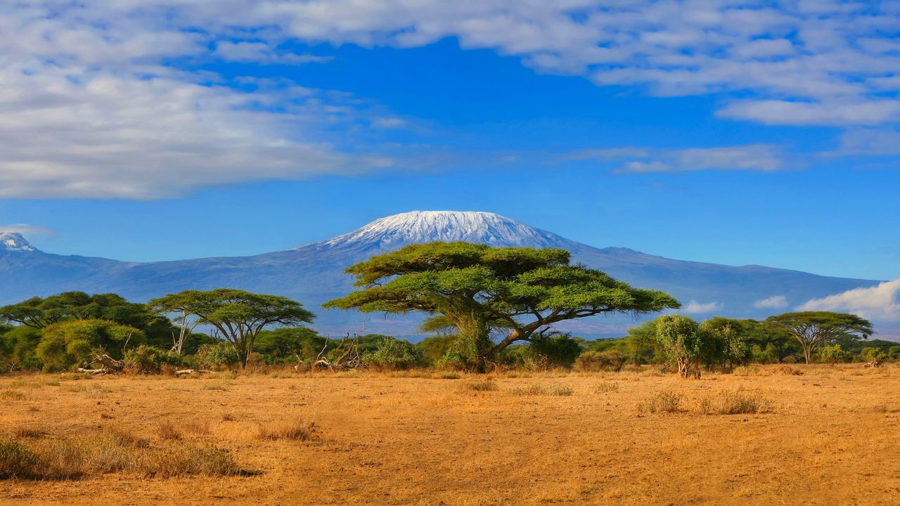 "Safari in Africa: Conservation Areas & Safari Seasons Explained"