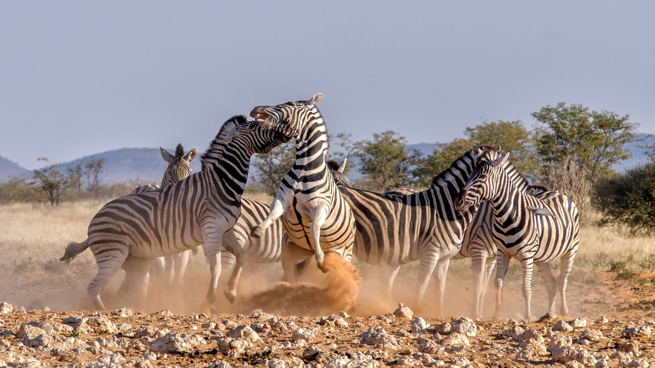 Serengeti National Park: A Natural Wonder