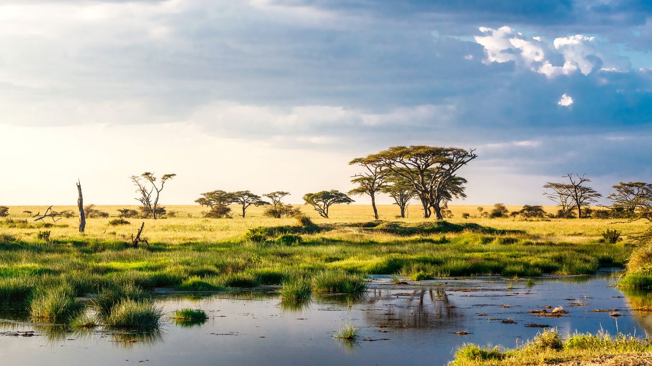 Beach Holidays in Africa: Coastal Escapes