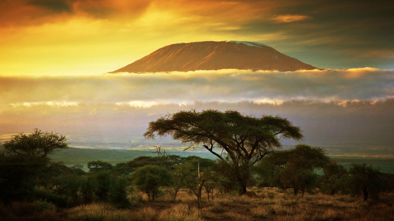 Beach Holidays in Africa: Sun, Sand, and Adventure