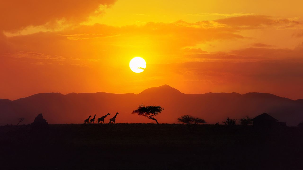 Unveiling Africa's Historical Treasures