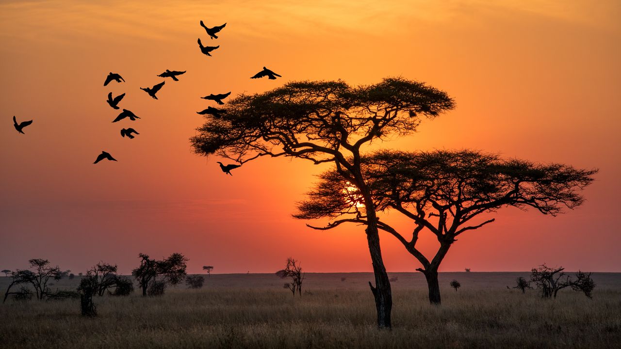 Adventure Travel in Africa Exhilaration