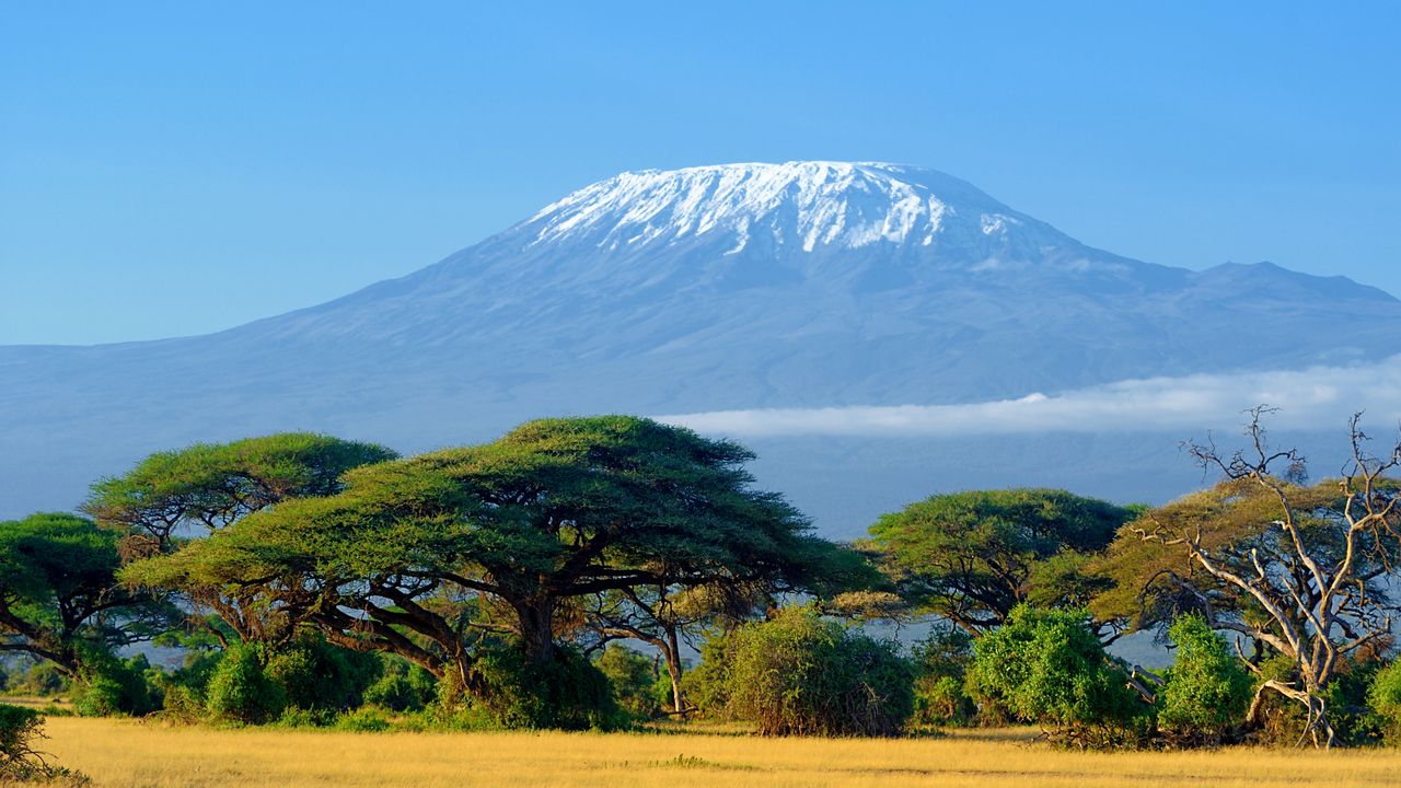 Safari in Africa Cultural Experiences