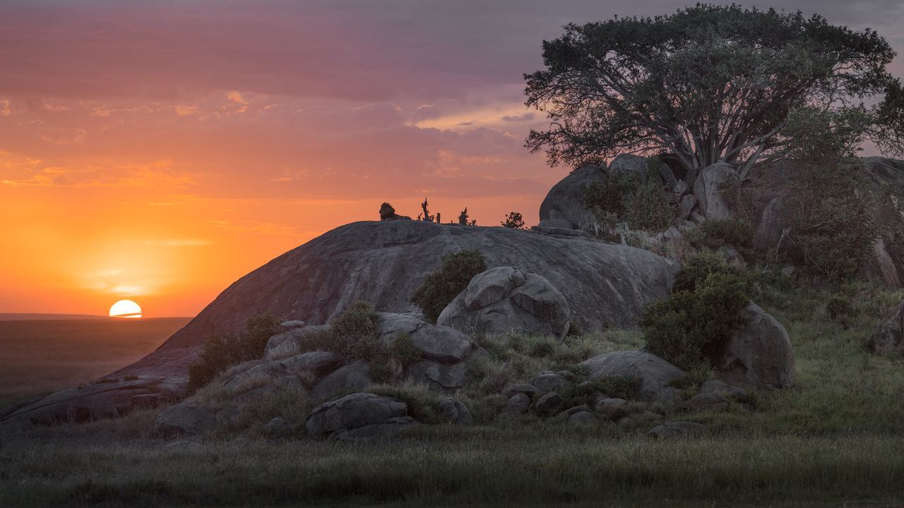 Serengeti: Wildlife Paradise