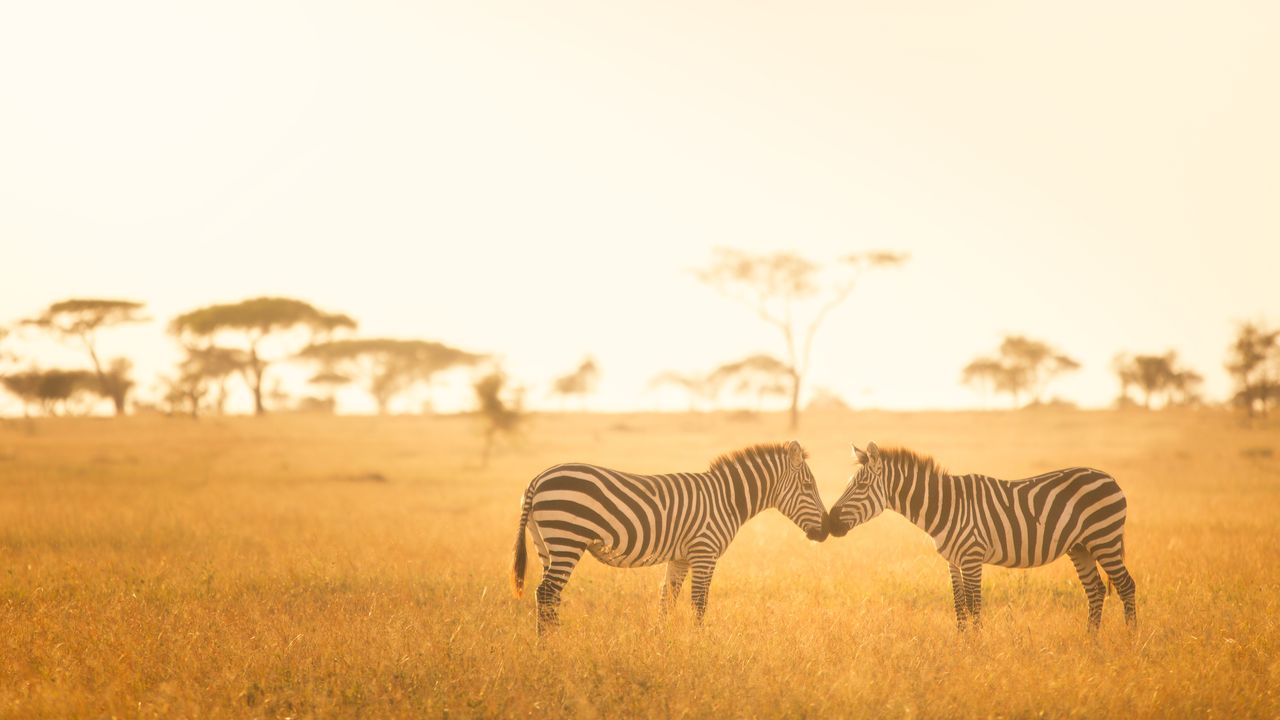 Unveiling Africa's Historical Gems