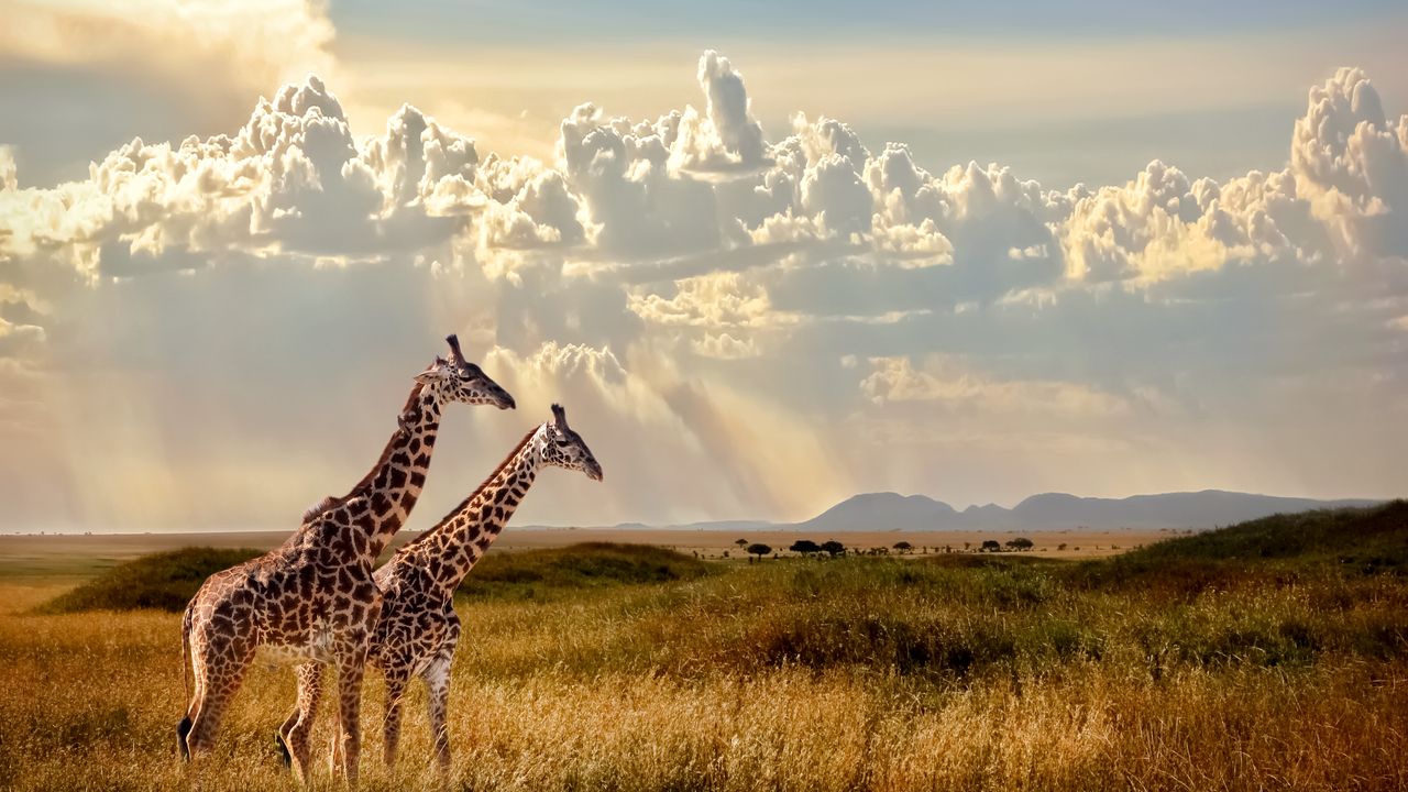 Ultimate Guide Mount Kilimanjaro Trek